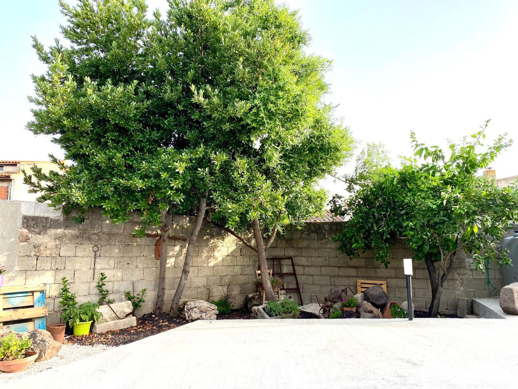 Apartamento Casa Mora San Vero Milis Exterior foto